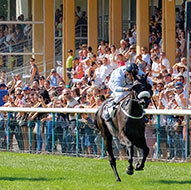 Cavalier sur un champ de course hyppique